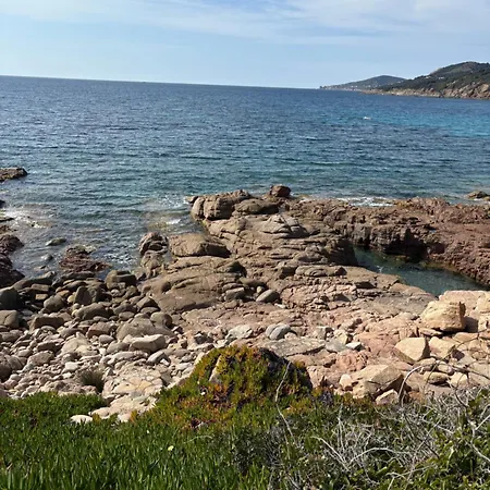 2 Personnes Les Pieds Dans L'eau Apartment Vico